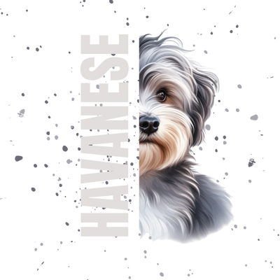Havanese T-Shirt