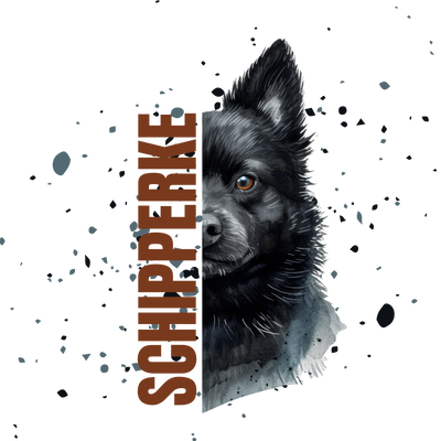 Schipperke T-Shirt