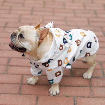 Fashion Pet Dog Raincoat