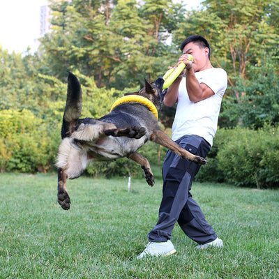 Pet Flying Disc