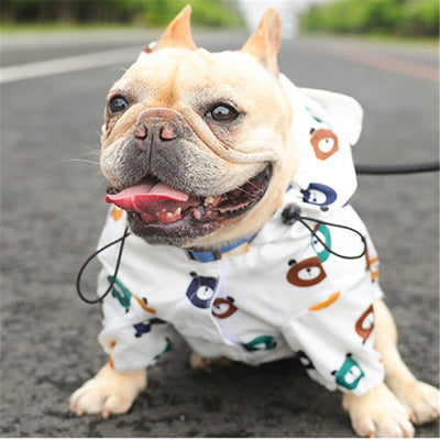 Fashion Pet Dog Raincoat
