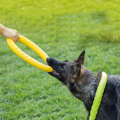 Pet Flying Disc